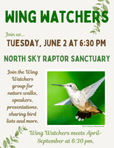 North Sky Raptors