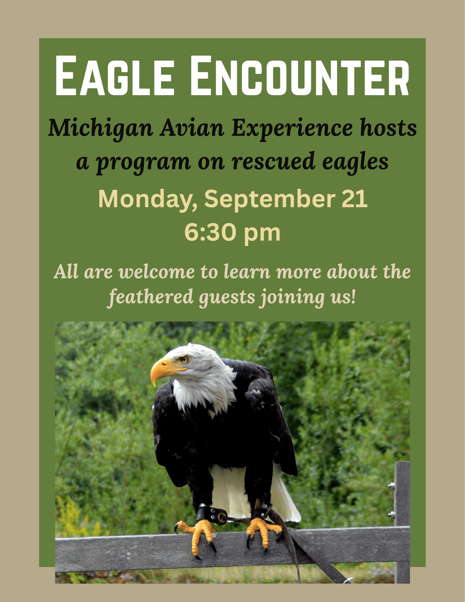Michigan Avian Experience